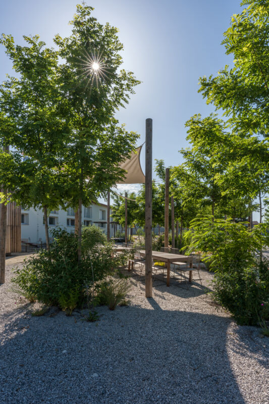POCKET PARK KORNFEIL