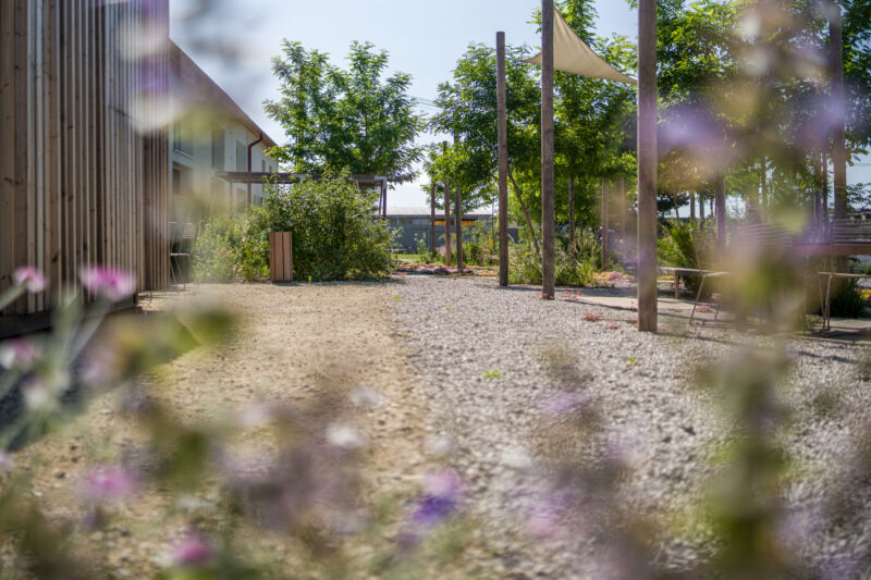 POCKET PARK KORNFEIL