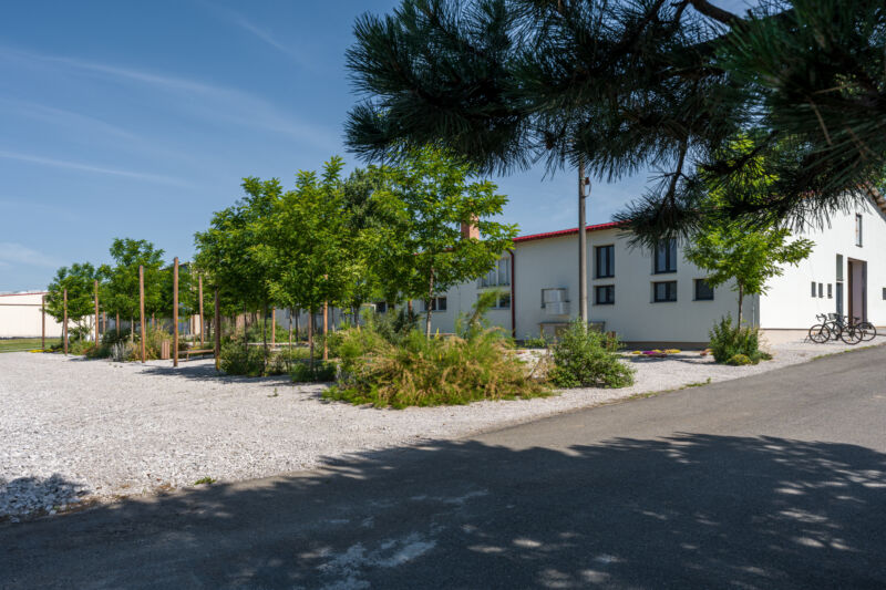 POCKET PARK KORNFEIL