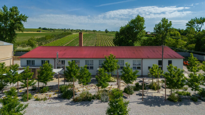 POCKET PARK KORNFEIL