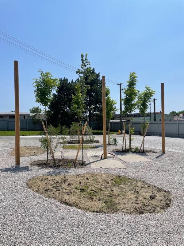 POCKET PARK KORNFEIL