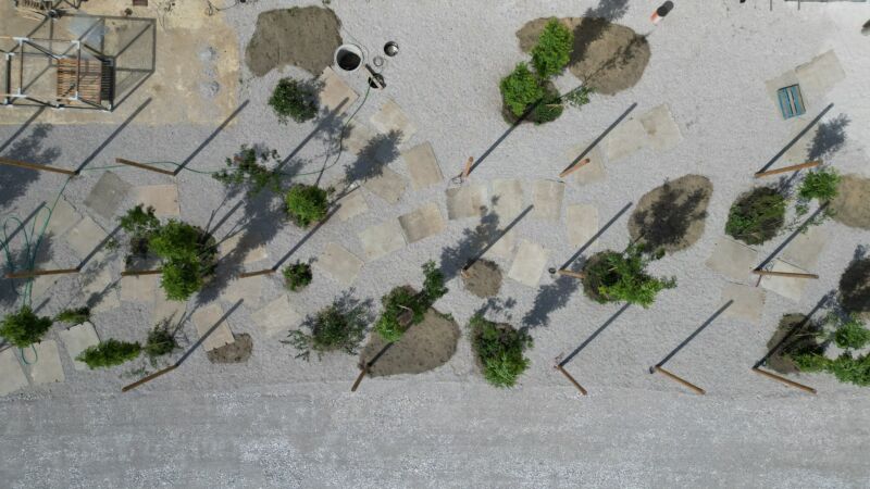 POCKET PARK KORNFEIL