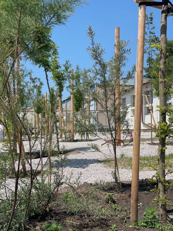 POCKET PARK KORNFEIL