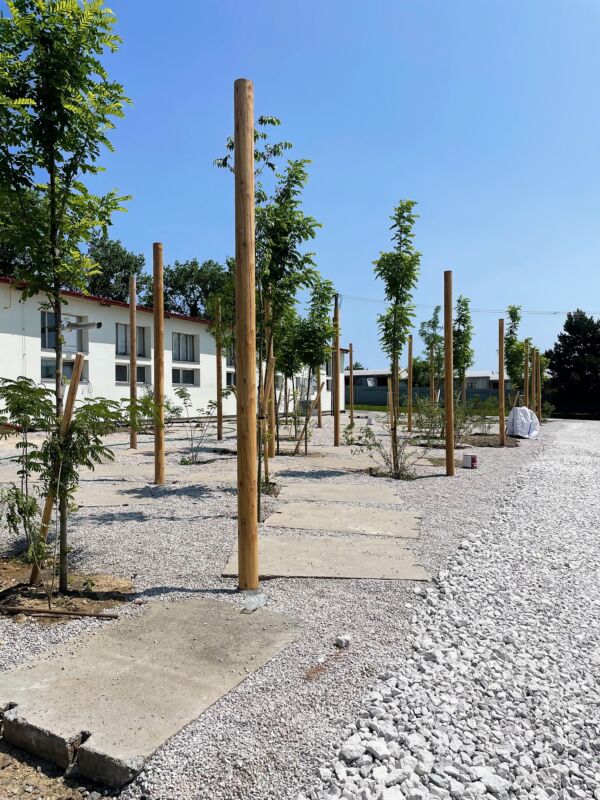 POCKET PARK KORNFEIL