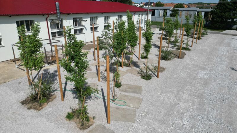 POCKET PARK KORNFEIL